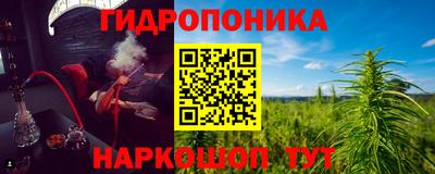 дживик Пенза