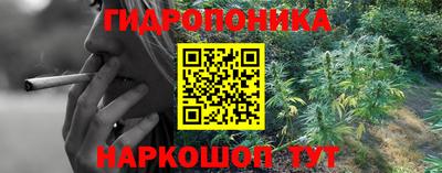 дживик Пенза